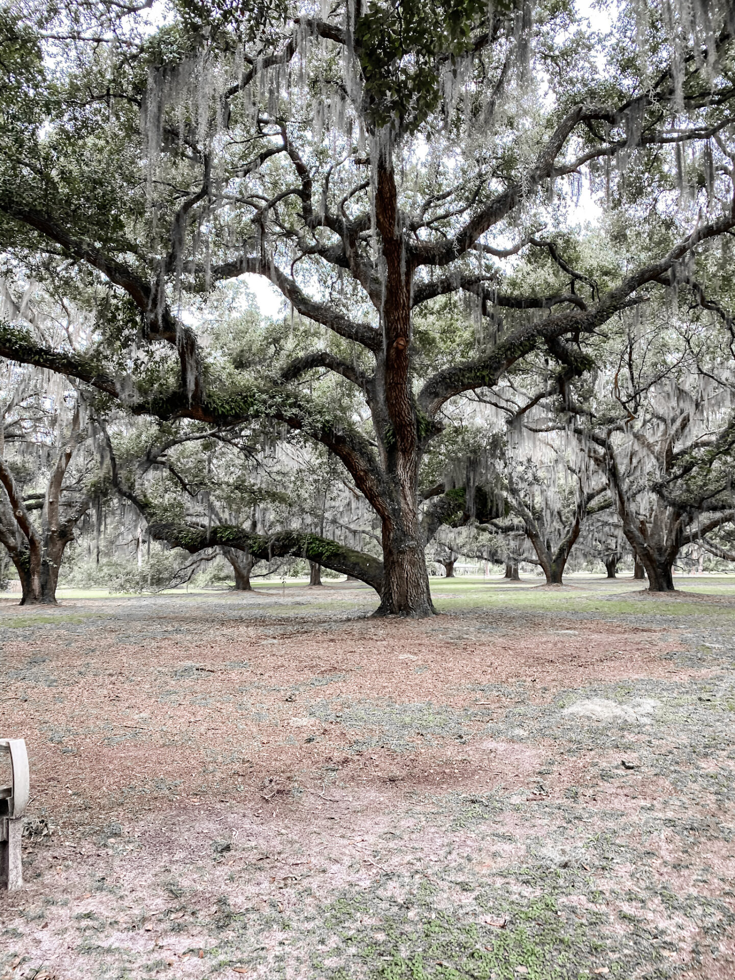 St. Simmons Island, Georgia